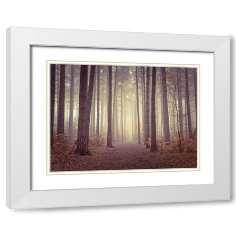 Misty trees White Modern Wood Framed Art Print with Double Matting by Frank, Assaf