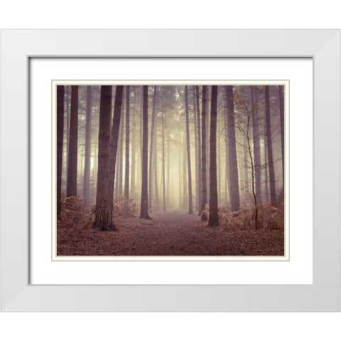 Misty trees White Modern Wood Framed Art Print with Double Matting by Frank, Assaf