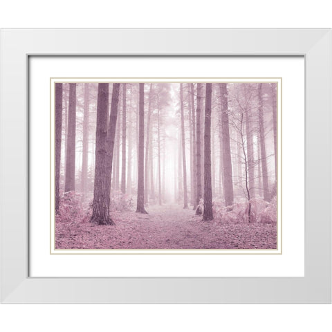 Misty trees in pink White Modern Wood Framed Art Print with Double Matting by Frank, Assaf