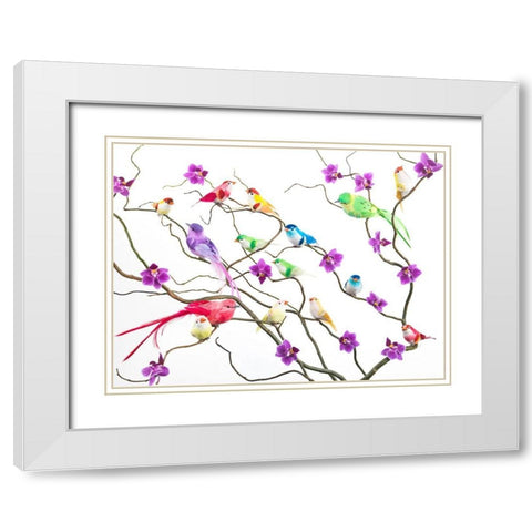 Fake birds on branches White Modern Wood Framed Art Print with Double Matting by Frank, Assaf