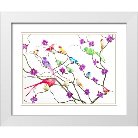 Fake birds on branches White Modern Wood Framed Art Print with Double Matting by Frank, Assaf