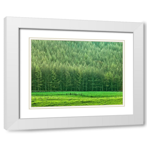 Forest edge White Modern Wood Framed Art Print with Double Matting by Frank, Assaf