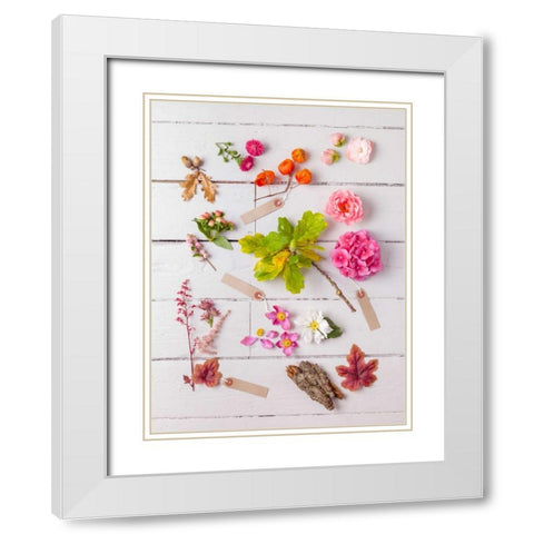 Eclectic plants on wooden background White Modern Wood Framed Art Print with Double Matting by Frank, Assaf