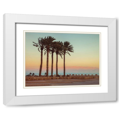Palm trees on beach of Dead sea, Israel White Modern Wood Framed Art Print with Double Matting by Frank, Assaf