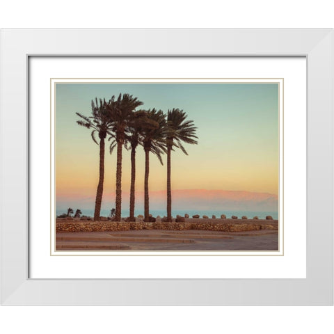Palm trees on beach of Dead sea, Israel White Modern Wood Framed Art Print with Double Matting by Frank, Assaf