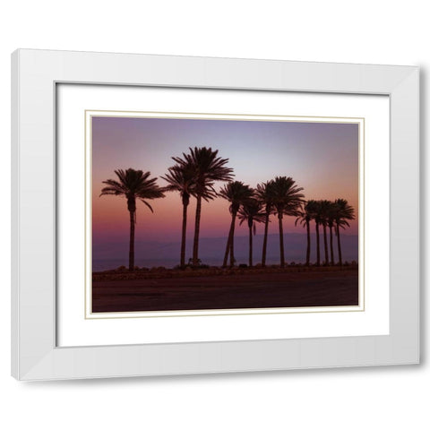 Palm trees on beach of Dead sea, Israel White Modern Wood Framed Art Print with Double Matting by Frank, Assaf