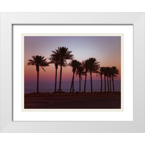 Palm trees on beach of Dead sea, Israel White Modern Wood Framed Art Print with Double Matting by Frank, Assaf