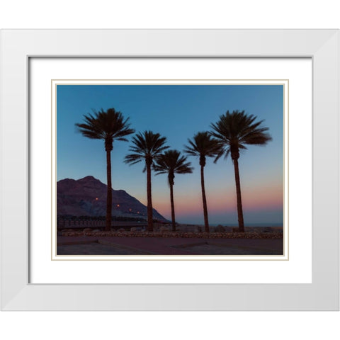 Palm trees on beach of Dead sea, Israel White Modern Wood Framed Art Print with Double Matting by Frank, Assaf