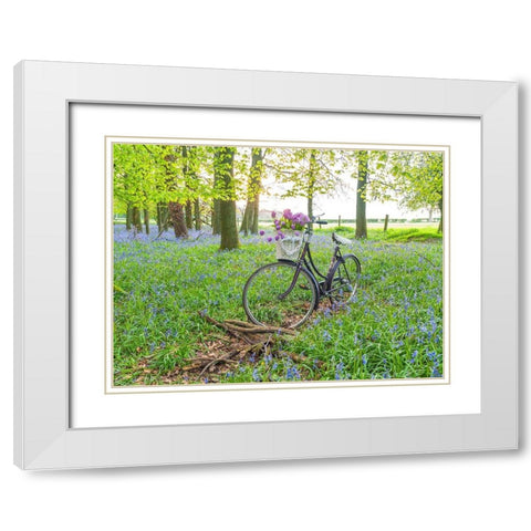 Bicycle in spring forest with bunch of flowers White Modern Wood Framed Art Print with Double Matting by Frank, Assaf