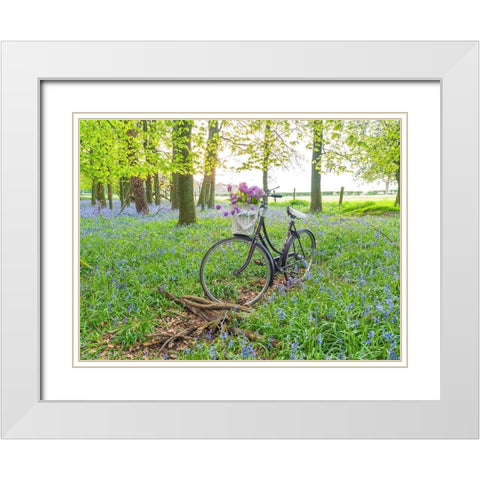 Bicycle in spring forest with bunch of flowers White Modern Wood Framed Art Print with Double Matting by Frank, Assaf