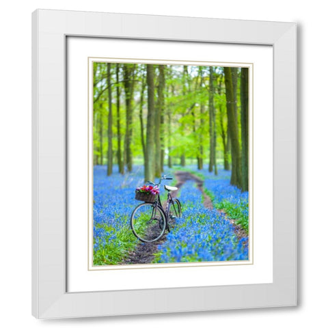 Bicycle in spring forest White Modern Wood Framed Art Print with Double Matting by Frank, Assaf