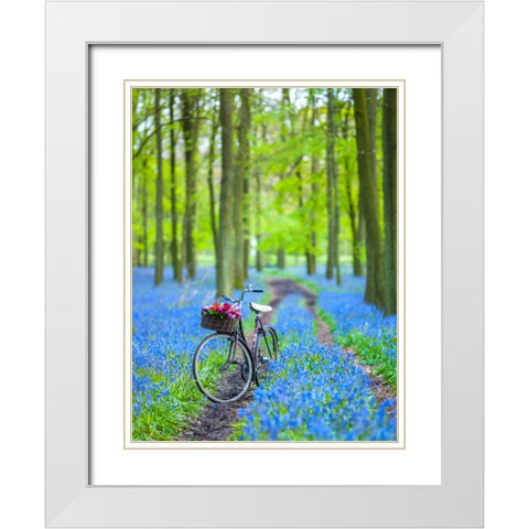 Bicycle in spring forest White Modern Wood Framed Art Print with Double Matting by Frank, Assaf