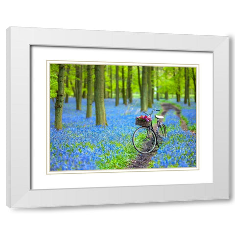 Bicycle in spring forest White Modern Wood Framed Art Print with Double Matting by Frank, Assaf