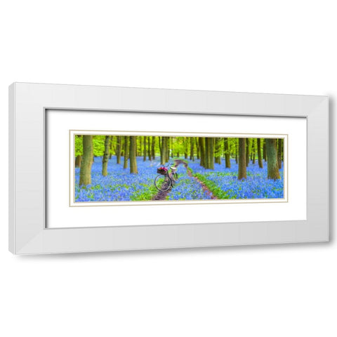 Bicycle in spring forest White Modern Wood Framed Art Print with Double Matting by Frank, Assaf