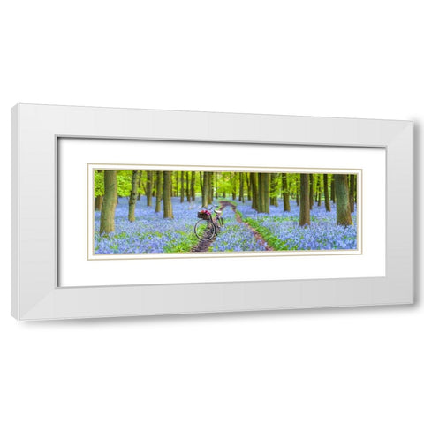 Bicycle in spring forest White Modern Wood Framed Art Print with Double Matting by Frank, Assaf