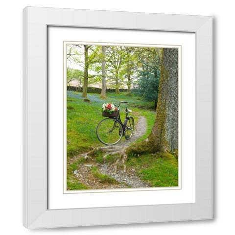 Bicycle in spring forest White Modern Wood Framed Art Print with Double Matting by Frank, Assaf