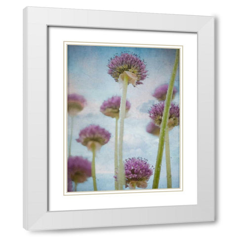 Beautiful Allium flowers White Modern Wood Framed Art Print with Double Matting by Frank, Assaf