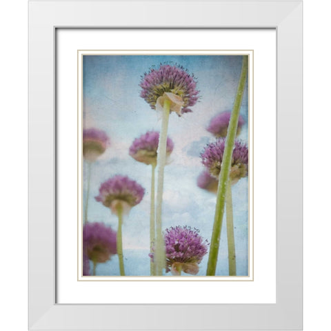 Beautiful Allium flowers White Modern Wood Framed Art Print with Double Matting by Frank, Assaf