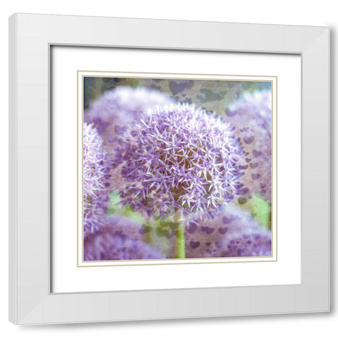 Colorful Anemone flowers in garden White Modern Wood Framed Art Print with Double Matting by Frank, Assaf