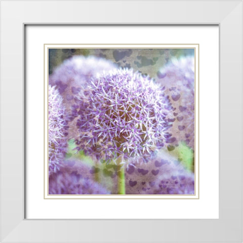 Colorful Anemone flowers in garden White Modern Wood Framed Art Print with Double Matting by Frank, Assaf