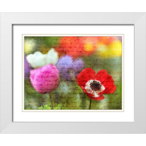 Colorful Anemone flowers in garden White Modern Wood Framed Art Print with Double Matting by Frank, Assaf