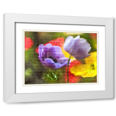 Beautiful Yellow colored Anemone flowers in garden White Modern Wood Framed Art Print with Double Matting by Frank, Assaf
