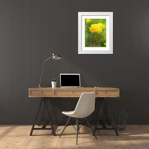Beautiful Yellow colored Anemone flowers in garden White Modern Wood Framed Art Print with Double Matting by Frank, Assaf