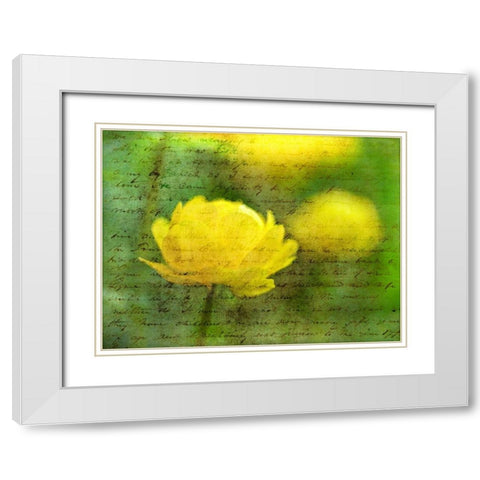 Beautiful Poppy flower in garden White Modern Wood Framed Art Print with Double Matting by Frank, Assaf
