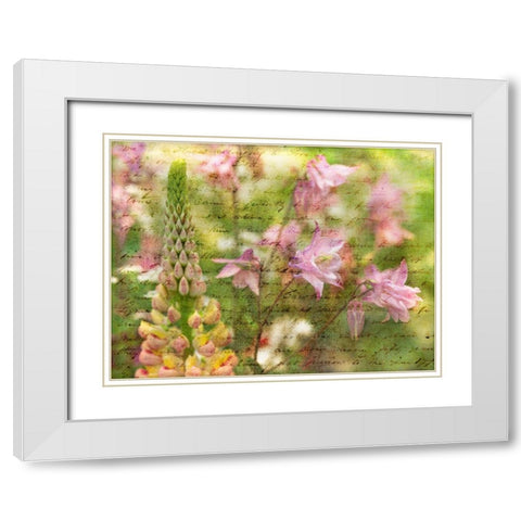 Colorful Aquilegia flowers on plants in garden White Modern Wood Framed Art Print with Double Matting by Frank, Assaf