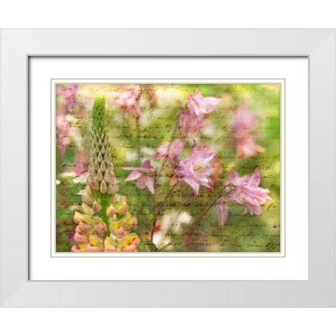Colorful Aquilegia flowers on plants in garden White Modern Wood Framed Art Print with Double Matting by Frank, Assaf