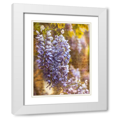 Beautiful Allium flowers White Modern Wood Framed Art Print with Double Matting by Frank, Assaf