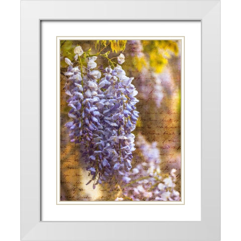 Beautiful Allium flowers White Modern Wood Framed Art Print with Double Matting by Frank, Assaf