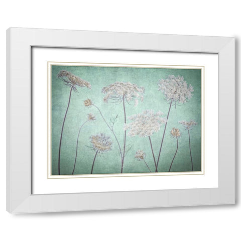 Cow parsley flowers White Modern Wood Framed Art Print with Double Matting by Frank, Assaf