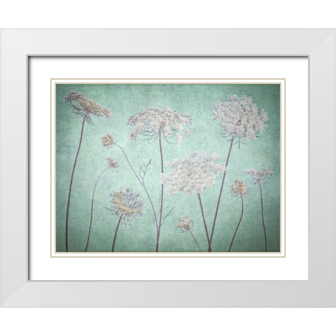 Cow parsley flowers White Modern Wood Framed Art Print with Double Matting by Frank, Assaf
