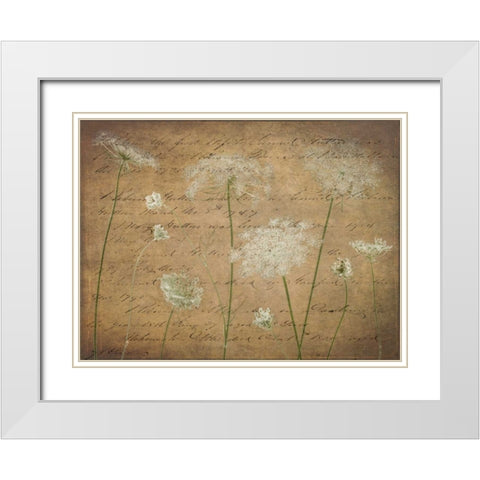 Cow parsley flowers on coloured background White Modern Wood Framed Art Print with Double Matting by Frank, Assaf