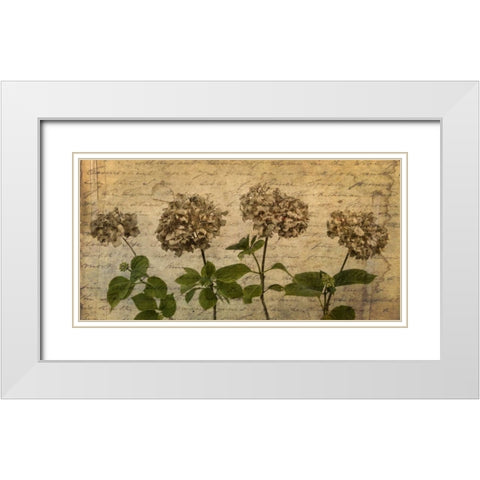 Four dried Hydrangea flowers in a row White Modern Wood Framed Art Print with Double Matting by Frank, Assaf