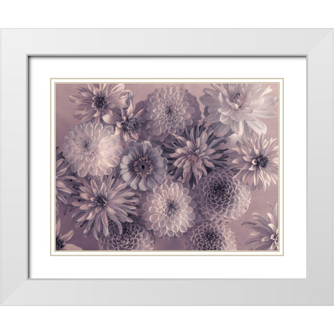 Full frame of mixed flowers White Modern Wood Framed Art Print with Double Matting by Frank, Assaf