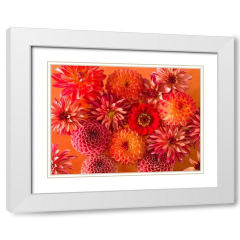 Full frame of mixed flowers White Modern Wood Framed Art Print with Double Matting by Frank, Assaf