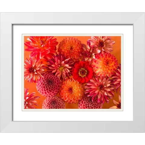 Full frame of mixed flowers White Modern Wood Framed Art Print with Double Matting by Frank, Assaf
