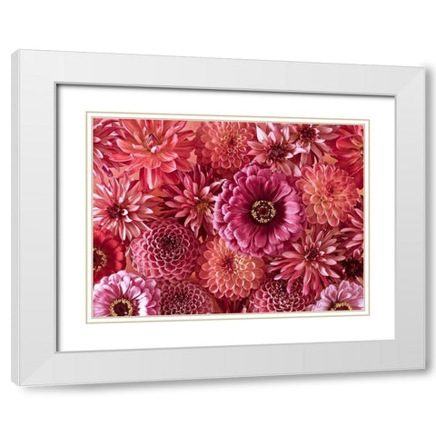 Mixed flowers White Modern Wood Framed Art Print with Double Matting by Frank, Assaf