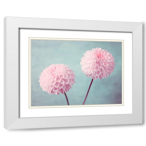 Two Dahlia flowers White Modern Wood Framed Art Print with Double Matting by Frank, Assaf