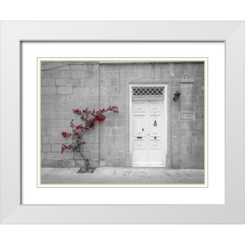 Old wooden door on house in Mdina, Malta White Modern Wood Framed Art Print with Double Matting by Frank, Assaf