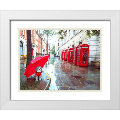 Dog with umbrella on London city street White Modern Wood Framed Art Print with Double Matting by Frank, Assaf