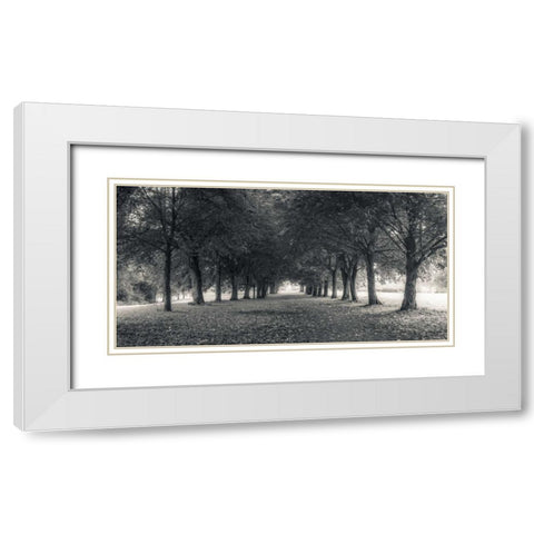 Pathway through trees in forest White Modern Wood Framed Art Print with Double Matting by Frank, Assaf
