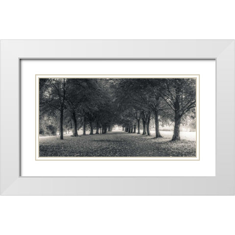 Pathway through trees in forest White Modern Wood Framed Art Print with Double Matting by Frank, Assaf