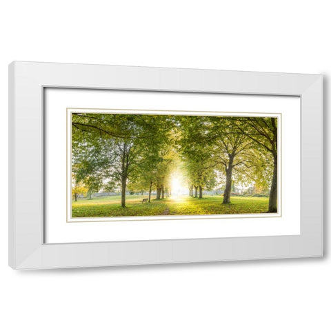 Panoramic view of a forest White Modern Wood Framed Art Print with Double Matting by Frank, Assaf