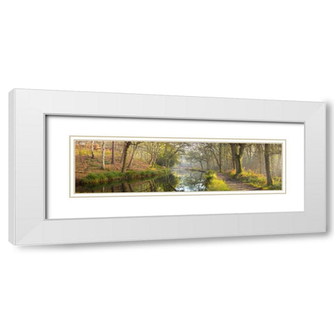 Varieties of spices in a wooden box White Modern Wood Framed Art Print with Double Matting by Frank, Assaf