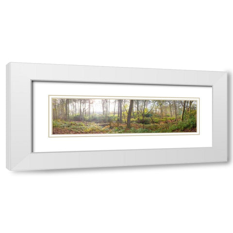 Canal through forest in countryside White Modern Wood Framed Art Print with Double Matting by Frank, Assaf