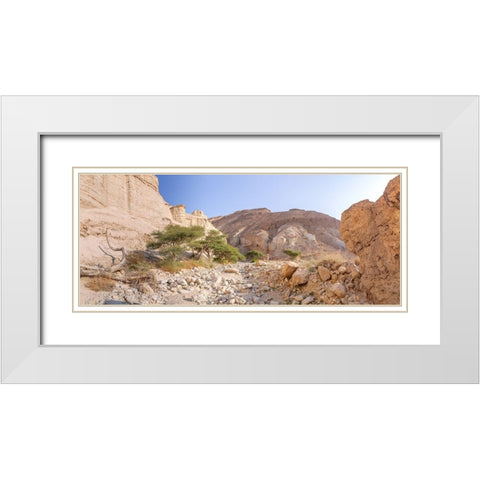 Negev Desert-Israel White Modern Wood Framed Art Print with Double Matting by Frank, Assaf