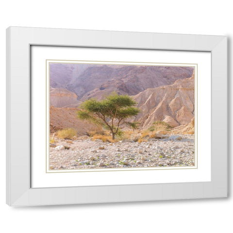 Negev Desert-Israel White Modern Wood Framed Art Print with Double Matting by Frank, Assaf